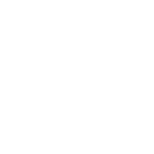 Exemplu Logo firma transport 6